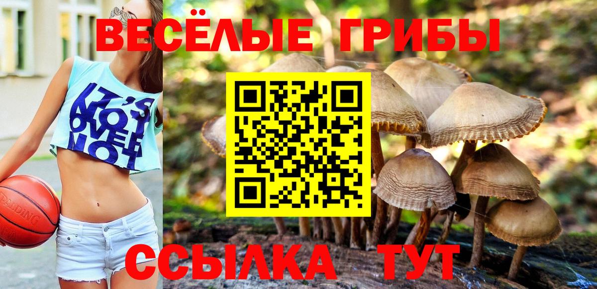 Псилоцибиновые грибы MAGIC MUSHROOMS Каспийск